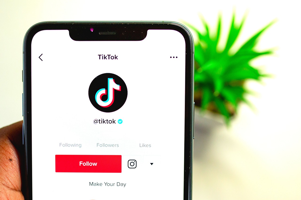 Como Funciona a Monetização do TikTok?Entenda e Ganhe Dinheiro